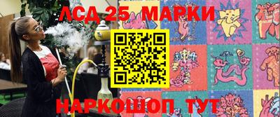 PSILOCYBIN Камышлов