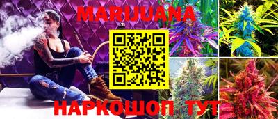 PSILOCYBIN Камышлов